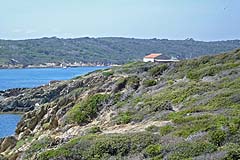 Port Cros - ile de bagaud